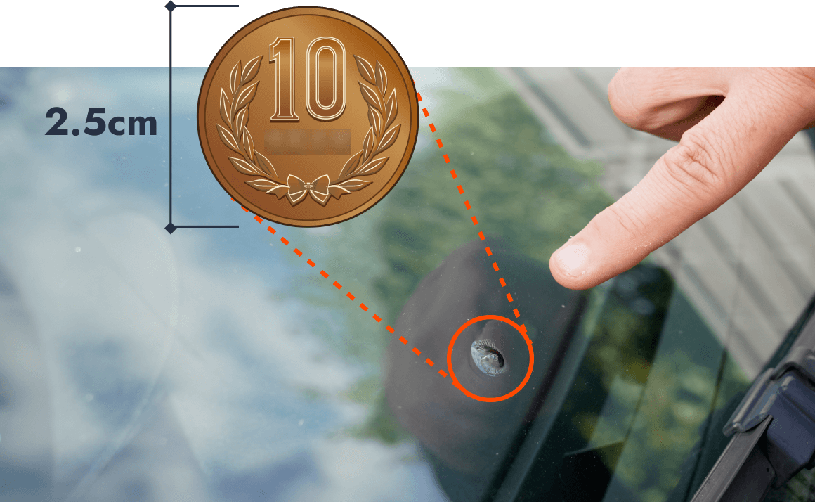 10円玉1つ分(2.5cm大)の傷の図